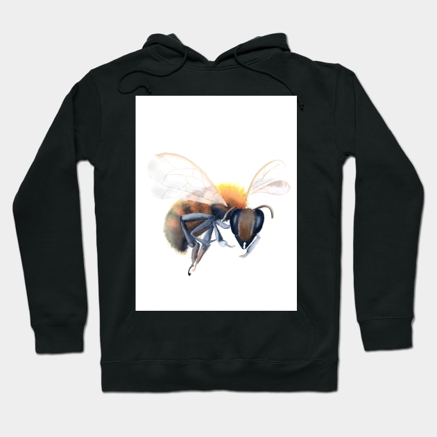 HoneyBee Hoodie by PaintsPassion